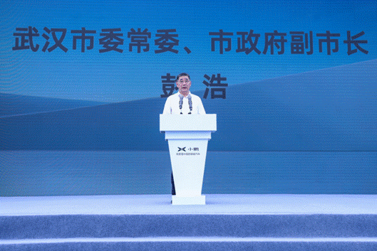 武汉市委常委,市政府副市长彭浩发表讲话