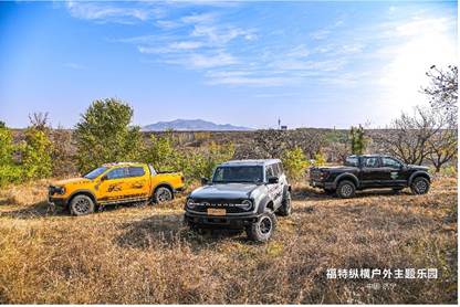 A group of cars parked in a field  Description automatically generated