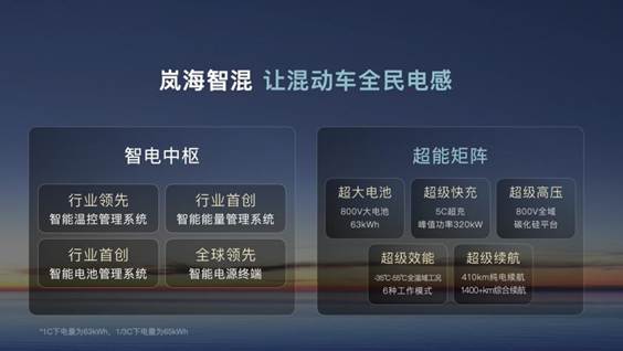 岚海智混