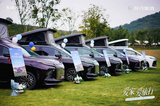 草地上的汽车  AI 生成的内容可能不正确。