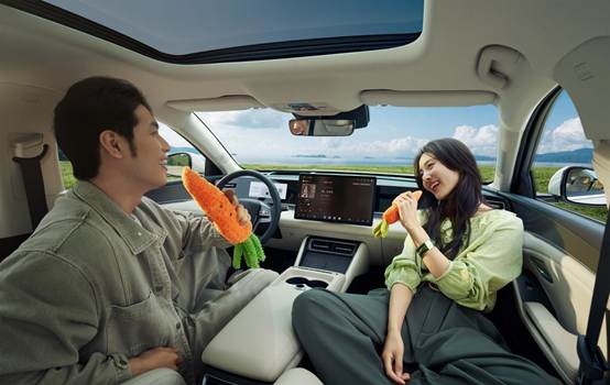 2025.12.24 秦L dmi 场景图01118 拷贝